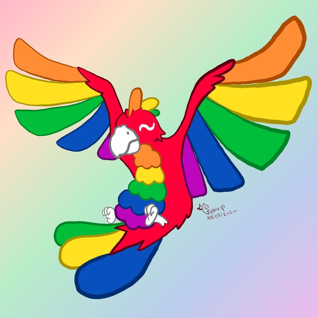 Koa the parrot